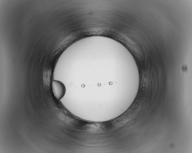 X0000099990118200806131443