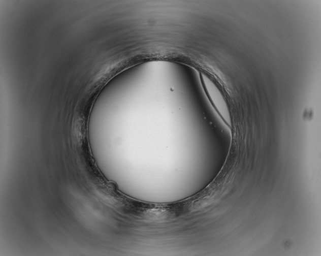 X0000099990119200806131443