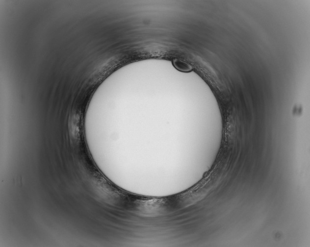 X0000099990122200806131443