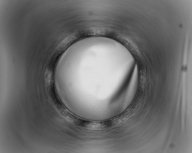 X0000099990123200806131443