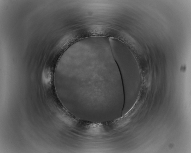 X0000099990124200806131443