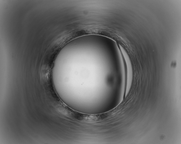 X0000099990125200806131443