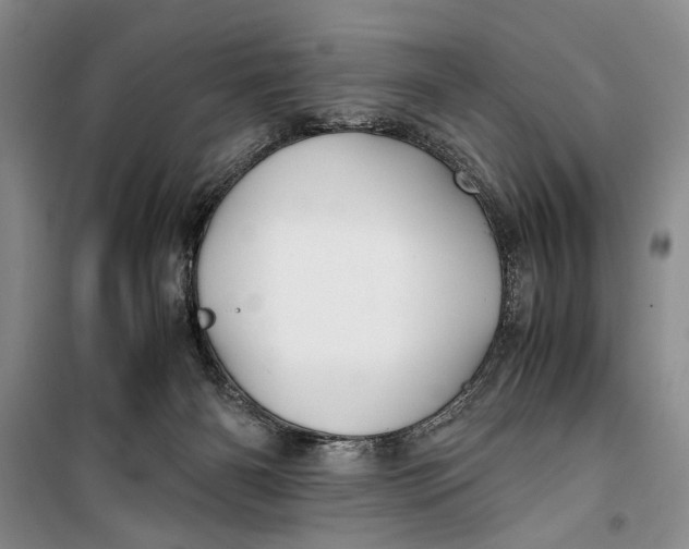 X0000099990126200806131443