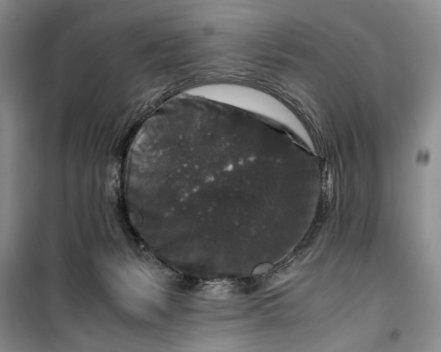 X0000099990127200806131443