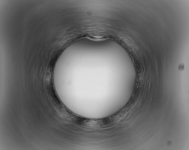 X0000099990129200806131443