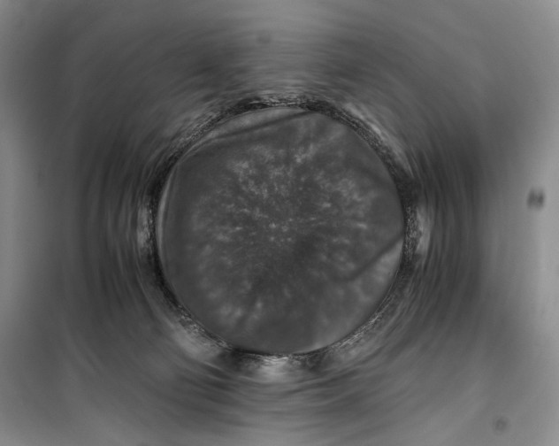 X0000099990130200806131443