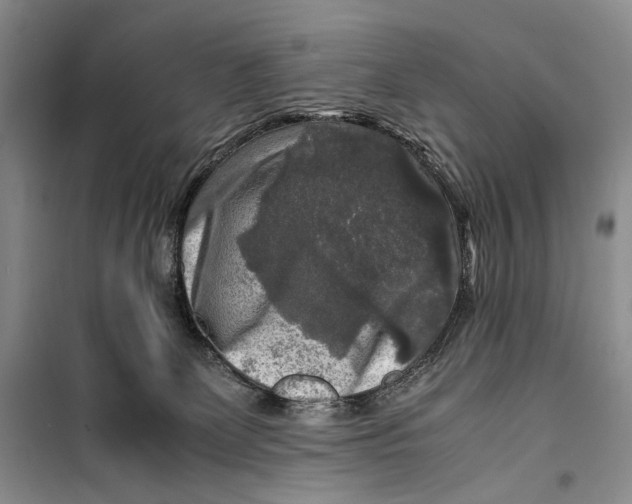 X0000099990131200806131443