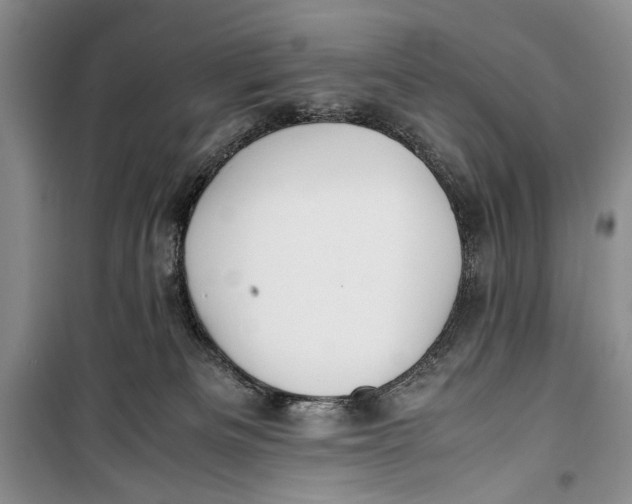 X0000099990133200806131443