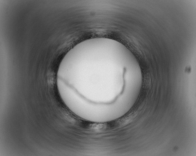 X0000099990135200806131443