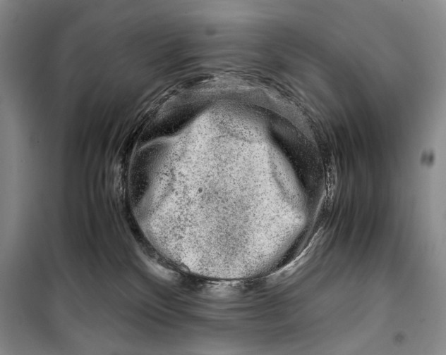 X0000099990136200806131443