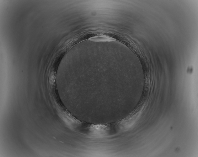 X0000099990137200806131443