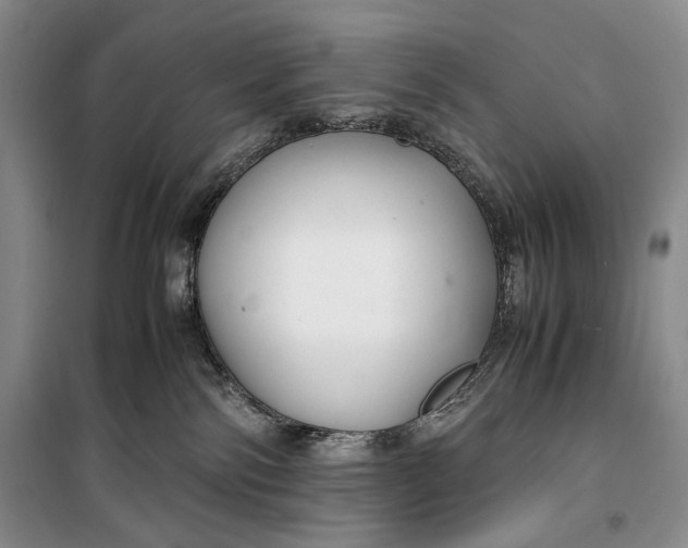 X0000099990138200806131443