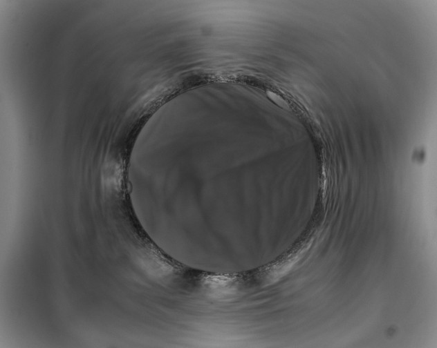 X0000099990139200806131443