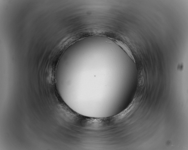 X0000099990140200806131443