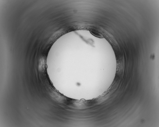 X0000099990142200806131443