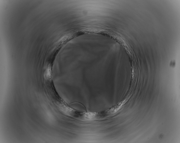 X0000099990143200806131443