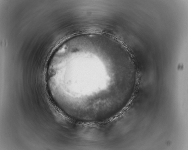 X0000099990146200806131442