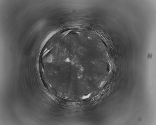 X0000099990147200806131442