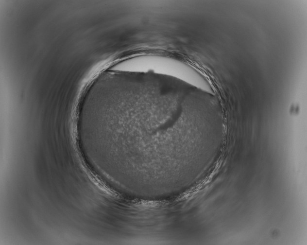 X0000099990149200806131442