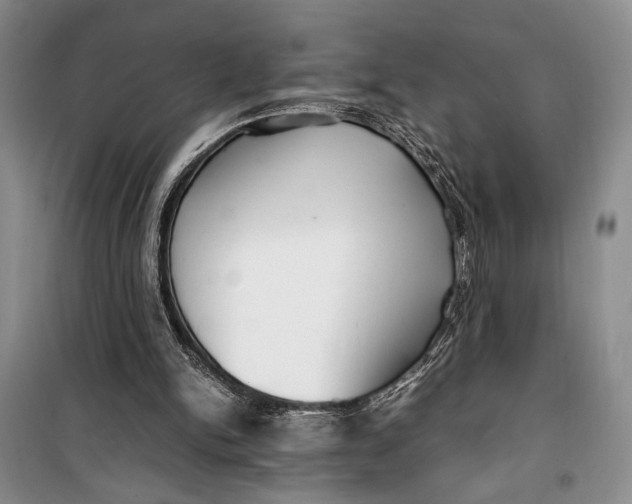 X0000099990150200806131442