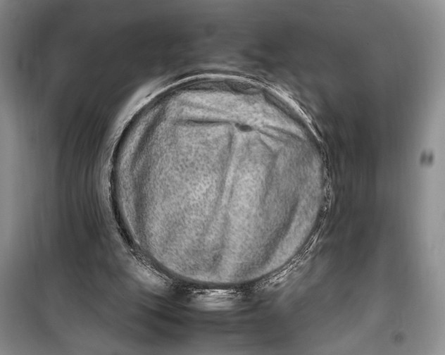 X0000099990151200806131442