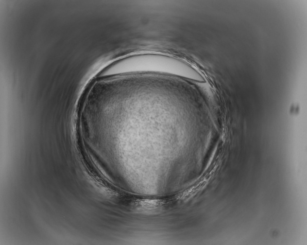 X0000099990152200806131442