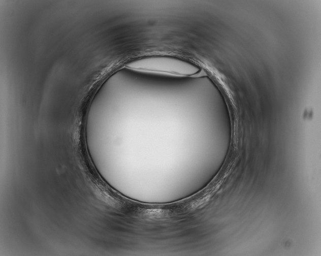 X0000099990153200806131442