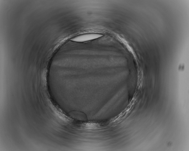 X0000099990154200806131443