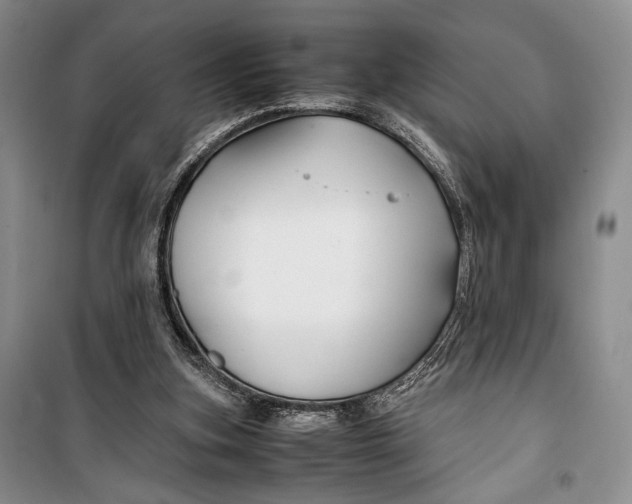 X0000099990155200806131443