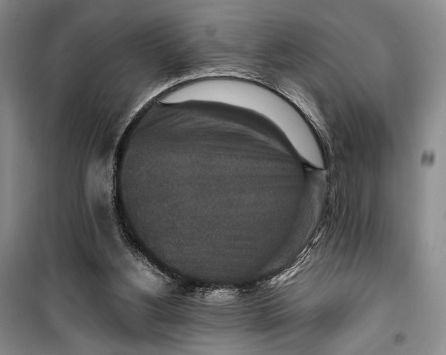 X0000099990156200806131443