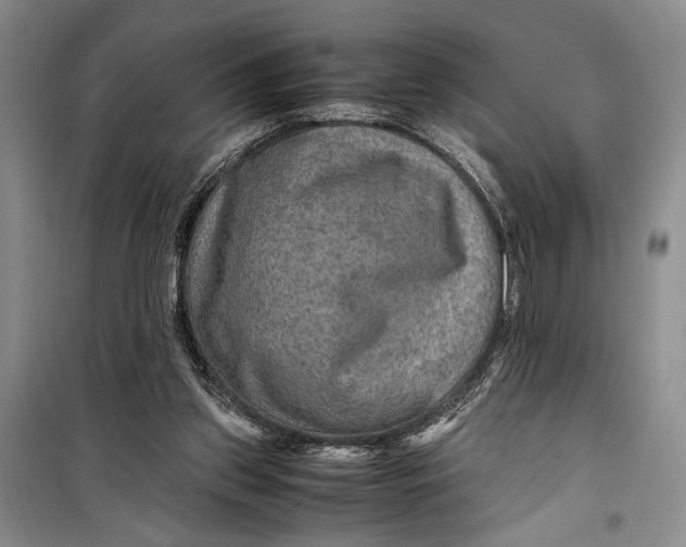 X0000099990157200806131443