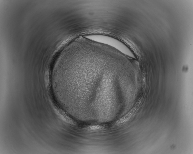 X0000099990158200806131443