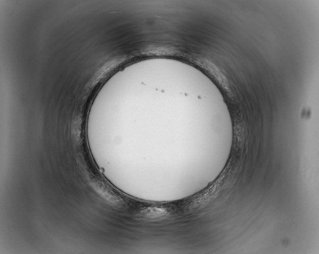 X0000099990159200806131443