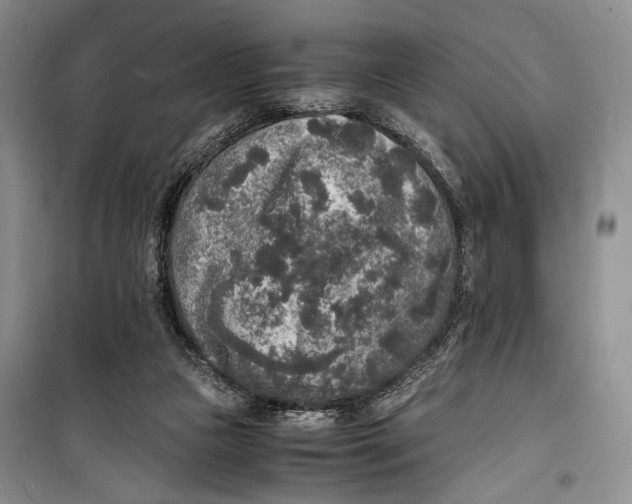 X0000099990161200806131443