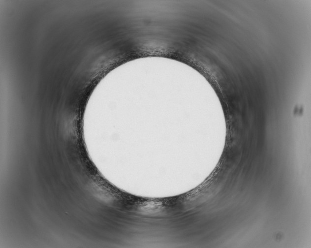 X0000099990162200806131443