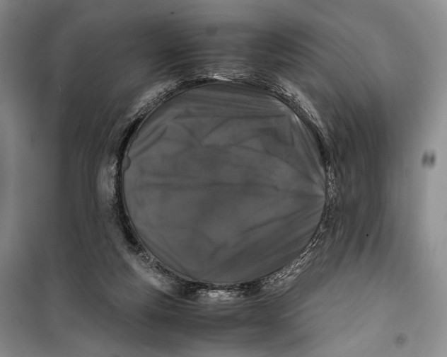 X0000099990163200806131443