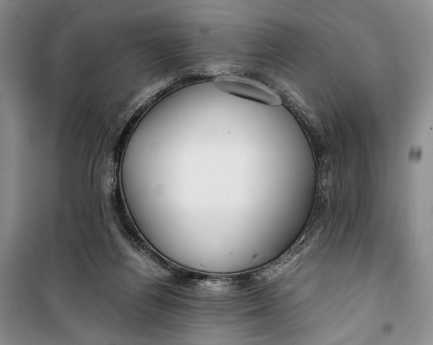 X0000099990164200806131443