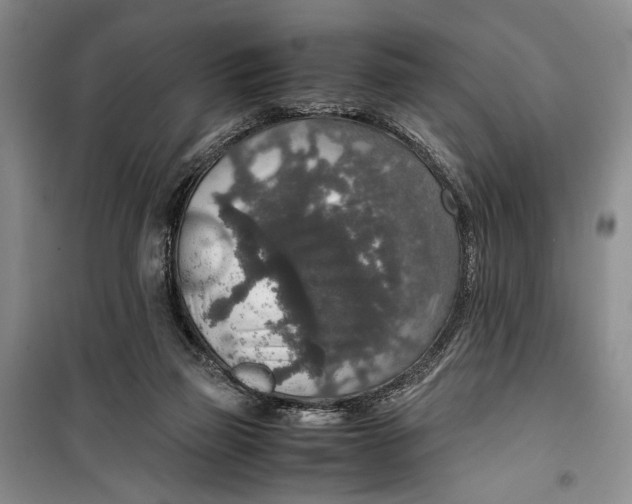 X0000099990165200806131443