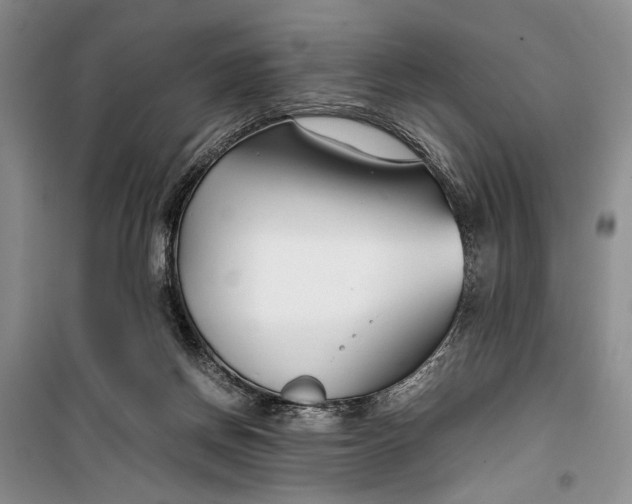 X0000099990166200806131443