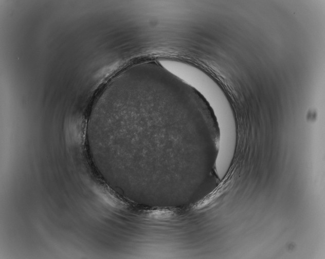 X0000099990168200806131443