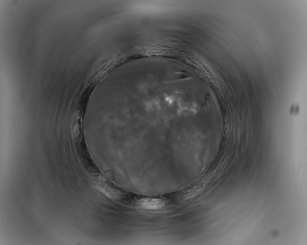 X0000099990169200806131443