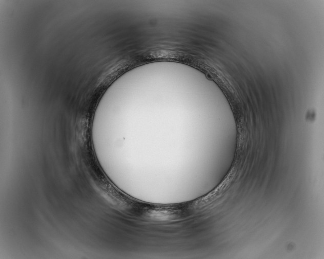 X0000099990171200806131443