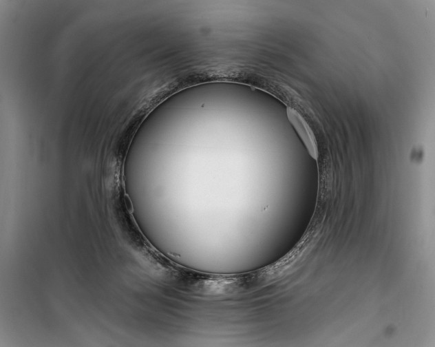 X0000099990172200806131443