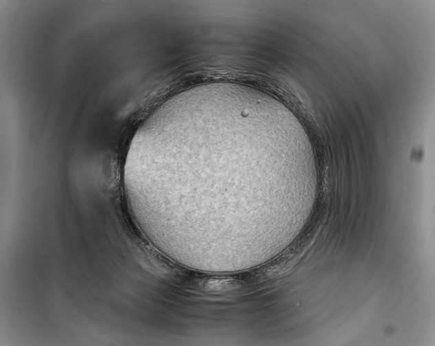 X0000099990173200806131443