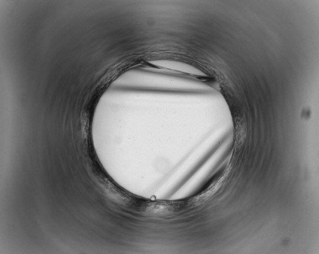 X0000099990174200806131443