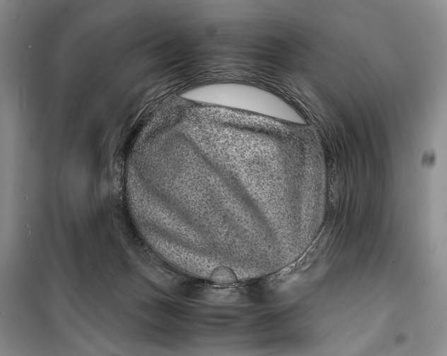 X0000099990175200806131443