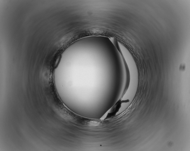 X0000099990176200806131443