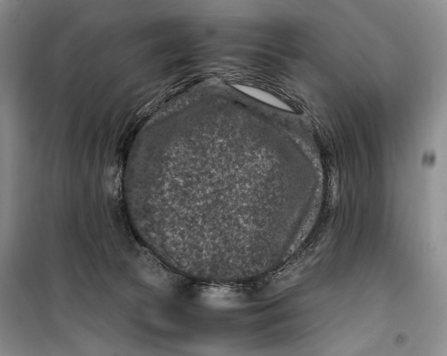 X0000099990177200806131443