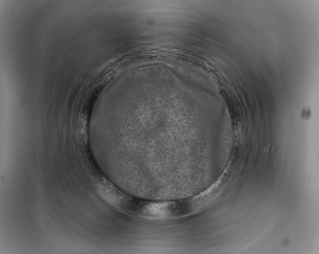 X0000099990178200806131443