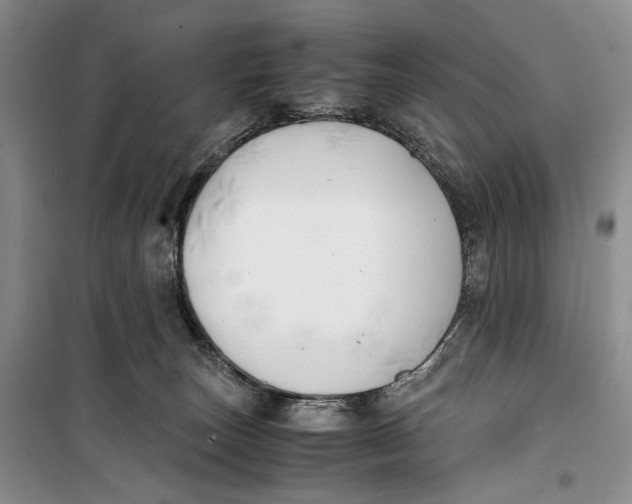 X0000099990179200806131443